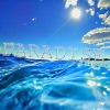 Paradise