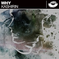Kashirin - Why (Radio Edit) [MOUSE-P]