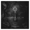 NATARAJA vol 12 ( Energy Is Currency )