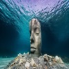 Immersion