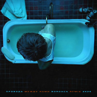 Провода - Между нами (Bordack Club Radio Edit 2K26)