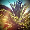 BLAG – RAVELINE [Preview]