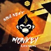 Monkey 30  Nina NEFT Slase.FM