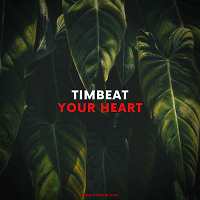 TimBeat - Your Heart (Radio Mix)