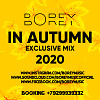IN AUTUMN 2020