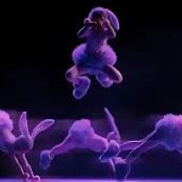 Rabbit Techno