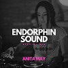 Special Mix For ENDORPHIN SOUND