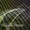 Organic House 01
