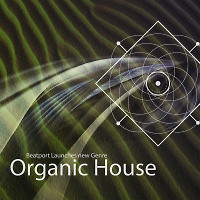 Organic House 01