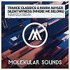 Trance Classics & Maria Nayler - Silent Witness (Where We Belong) (Inrayzex Remix)
