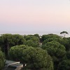 good summer day (live disBALLANCE)