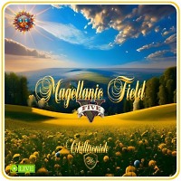 Magellanic Field