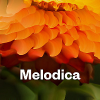Melodica 30 March 2026