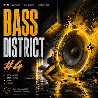 Bass District #4