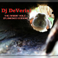 Dj DeVeris! - The Rabbit Hole (flamenco edition)