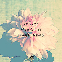 Raiwa - Amplitude ( Timofey Remix )