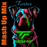 Forter (Mash Up mix)
