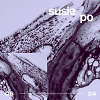 06.24