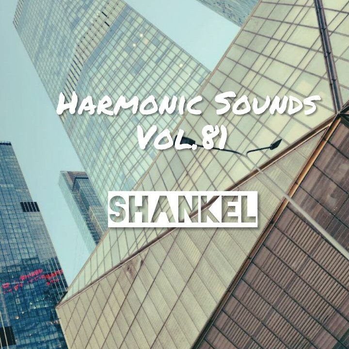 DJ.ru Микс: Shankel — Harmonic Sounds. Vol.81 episode artwork