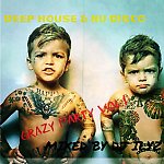 DJ ILYZ - DEEP HOUSE & NU DISCO (CRAZY PARTY vol.1) 