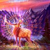 People and Nature (Part 01) ૐ