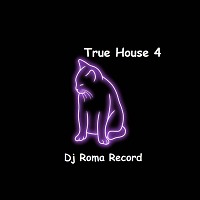 True House 4