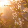 IMMN - Sunset Spring