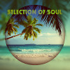 Marahovsky - Selection Of Soul vol 103 (Winter 2017 House Tech-House)