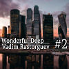 Vadim Rastorguev - Wonderful Deep #2