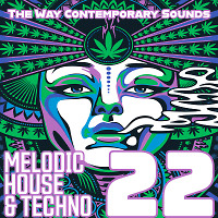 Melodic House & Techno 22 (The Way Contemporary Sounds)