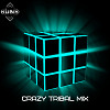 Crazy Tribal Mix  (4 Decks Mix)