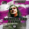 Wonderland Avenue - White Horse (Damitrex Remix) Radio Edit