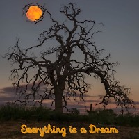 Everything is a Dream