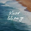 Never Let Me Go (Original Mix)