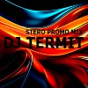 Dj Termit - Stero (Mash Up mix)
