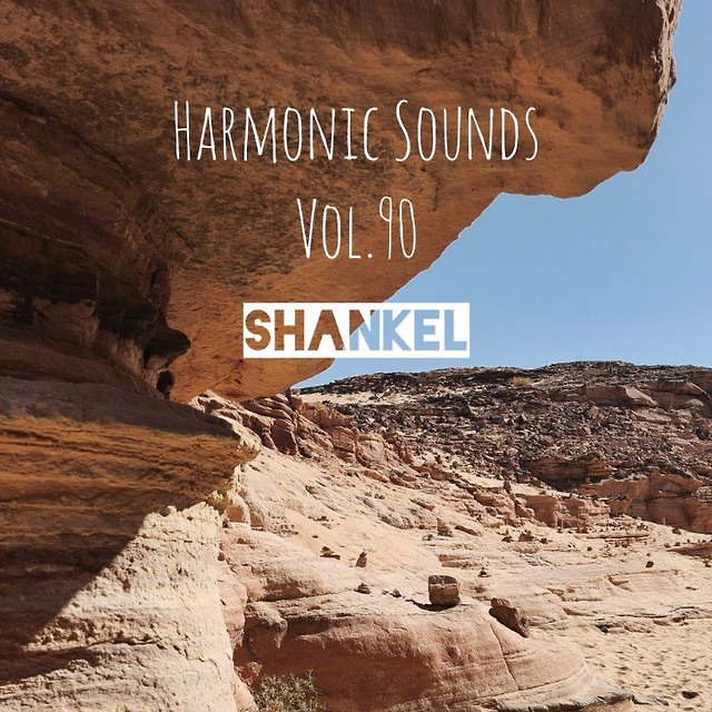 DJ.ru Микс: Shankel — Harmonic Sounds. Vol.90 episode artwork