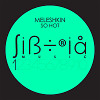 Meleshkin - So Hot! (version 2)