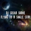 FLYING TO A SINGLE STAR part11