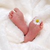Children Are The Flowers Of Life