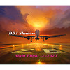 Night Flight 2023 - 3