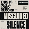 Misguided Silence