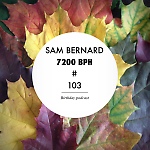 Sam Bernard 7200 BPH # 103 (Birthday Podcast)