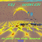 Dj Waldi - Flight to the Stars ( Original RnB Edit  2015)