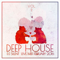 DJ SILENT - DEEP HOUSE LIVE MIX FEBRUARY 2016  VOL.2 /NO JINGLES/