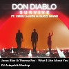 Don Diablo vs Jonas Blue & Theresa Rex - What I Like About Survival 