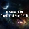 FLYING TO A SINGLE STAR part12