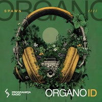 SPAWN - OrganoID #6