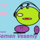 DJ_Semen_Veseniy_pirate