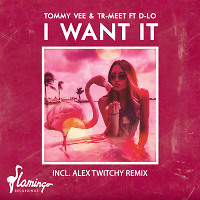 I Want It feat. Tommy Vee, D-Lo (Original Mix)