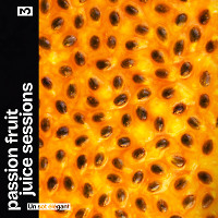 Un sot élégant - Passion Fruit Juice Sessions 3